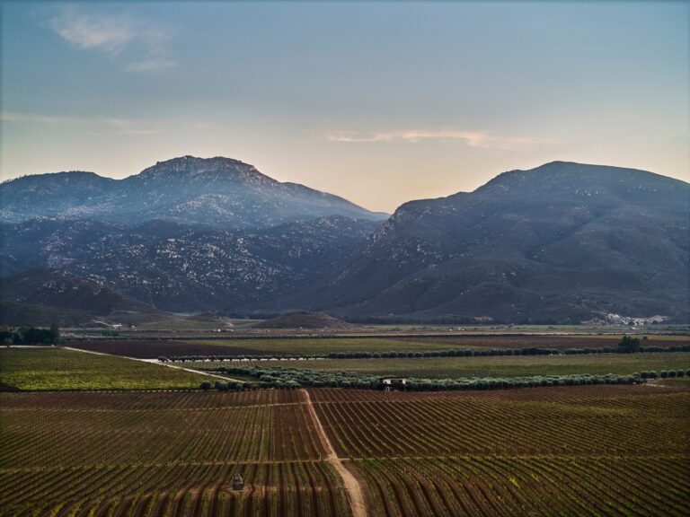 Montage Valle de Guadalupe